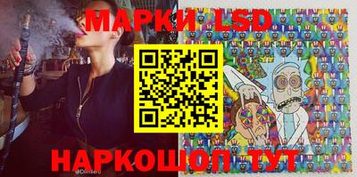 ECSTASY Новозыбков