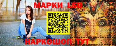 ECSTASY Новозыбков