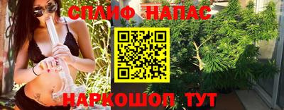 ECSTASY Новозыбков