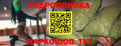 ECSTASY Новозыбков