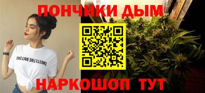сатива Новодвинск
