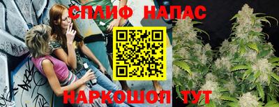 ECSTASY Новозыбков
