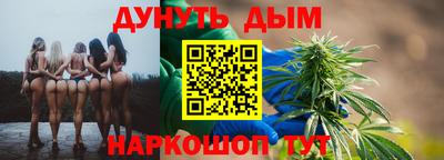 сатива Новодвинск
