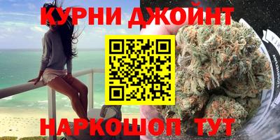 сатива Новодвинск