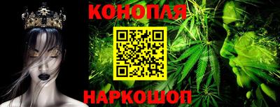 сатива Новодвинск