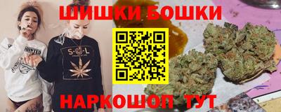 сатива Новодвинск