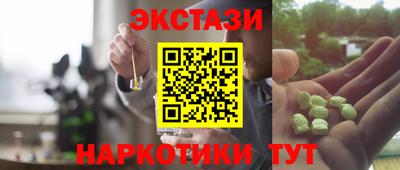 сатива Новодвинск